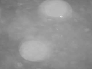 voyeurcam casa salsa pool 1